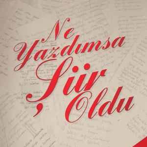 Ne yazdıysam sur oldu